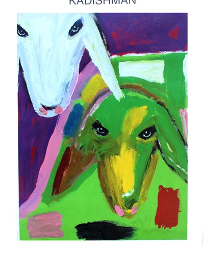 kadishman-407 kadishman-407